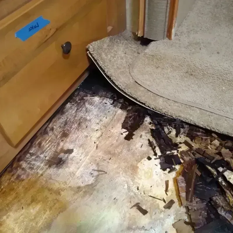 Wood Floor Water Damage in Schertz, TX